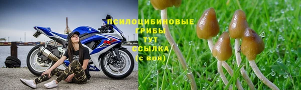 Альфа ПВП Арсеньев